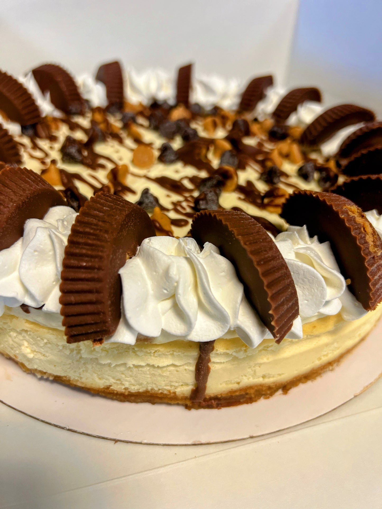 Baked Cheesecakes